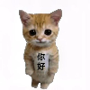 数据花园的头像专注工具资源与实战教程胖猫小栈