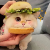 渔夫孙八的头像专注工具资源与实战教程胖猫小栈