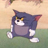 金盔大将的头像-胖猫小栈