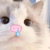 日珥掠影的头像-胖猫小栈